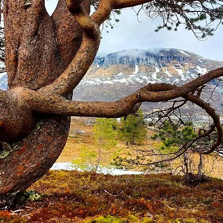 Beautiful In Voringsfoss With Wifi
